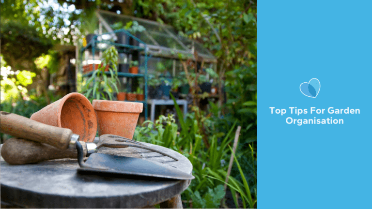 5 Easy Tips To Get Your Garden Organised