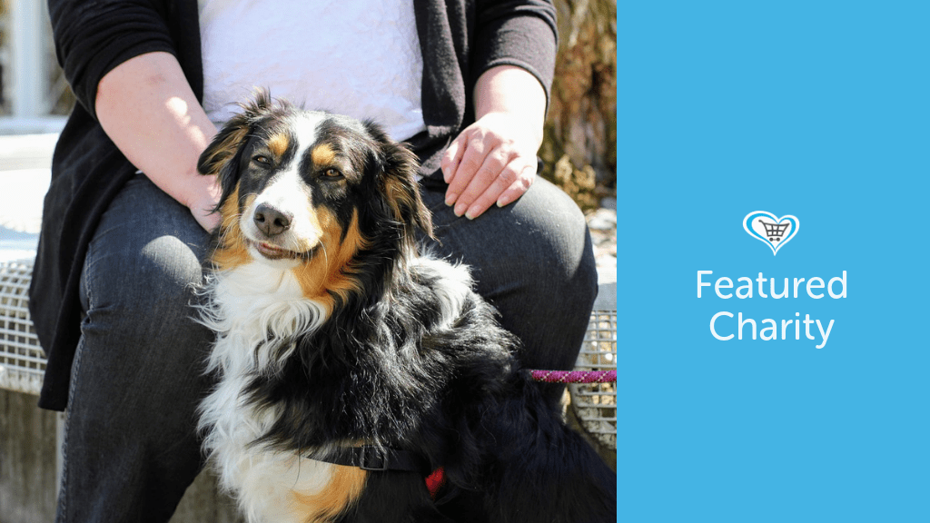 Border Collie Trust GB become Featured Charity - Give as you Live Blog