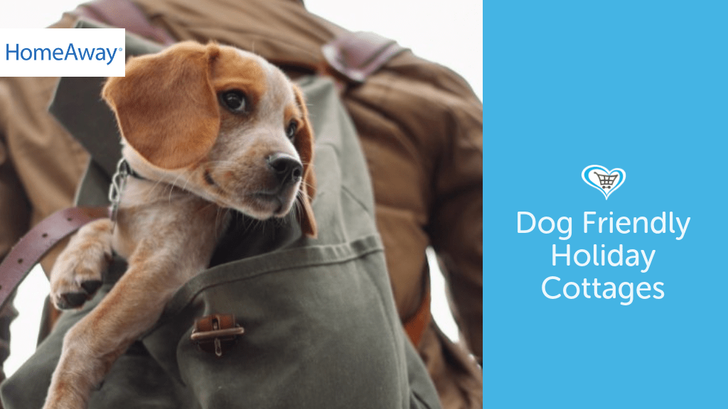 Dog Friendly Holiday Cottages With Homeaway Give As You Live Blog