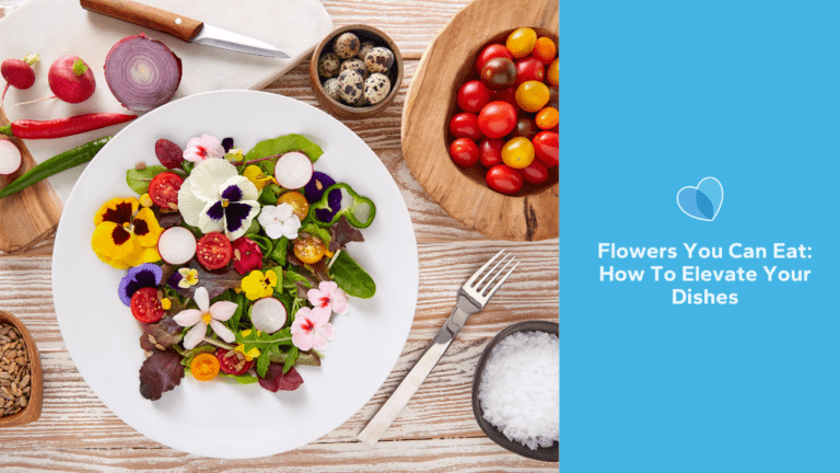 Flowers You Can Eat: How To Elevate Your Dishes