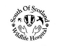 The South of Scotland Wildlife Hospital