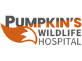 Pumpkin's Wildlife Hospital & Rehabilitation Centre