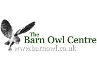 Barn Owl Centre