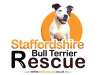 STAFFORDSHIRE BULL TERRIER RESCUE