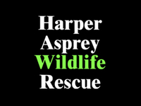 Harper Asprey Wildlife Rescue