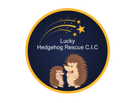 Lucky Hedgehog Rescue