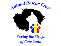 Animal Rescue Crew