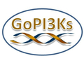 Gopi3Ks (Genetic Overgrowth Pi3K Support)