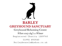 Barley Greyhound Sanctuary