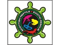 Scottish Reptile & Exotic Rescue (SCIO)