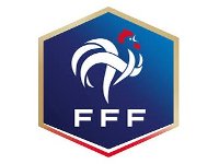 The FFF Store