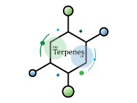 Buy Terpenes UK