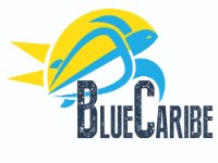 Blue Caribe Tours